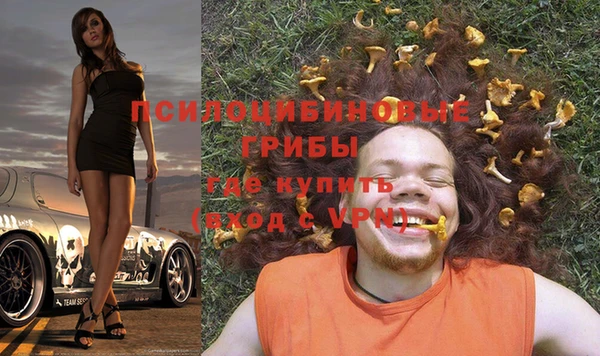 СК Алзамай