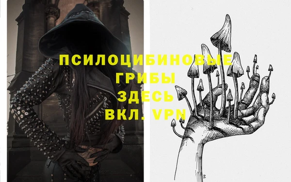 СК Алзамай